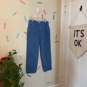 EVERLANE | CORDUROY VELVET SKY BLUE PANTS